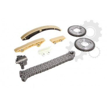 Kit distributie (lant+intinzator)