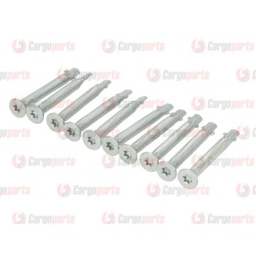 Galvanized screws