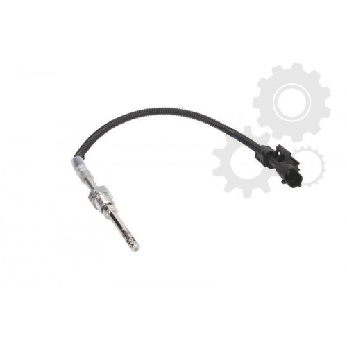 Senzor temperatura evacuare Senzor temperatura evacuare