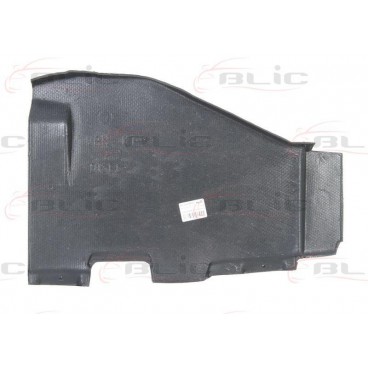 Scut motor/cutie viteze