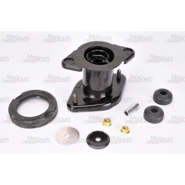 Amortizor suspensie Mc Pherson