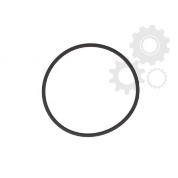 Etansare cutie viteze/element etansare