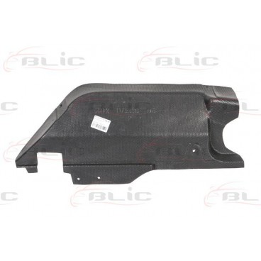 Scut motor/cutie viteze