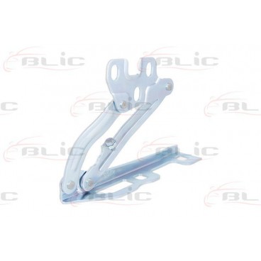 Elemente capota motor