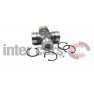 Pinion satelit planetara