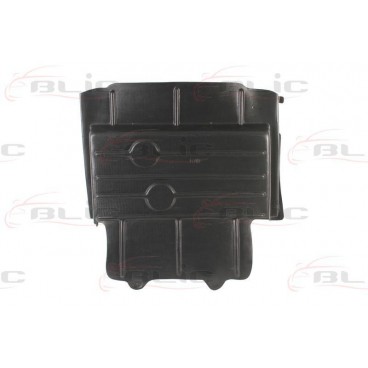 Scut motor/cutie viteze