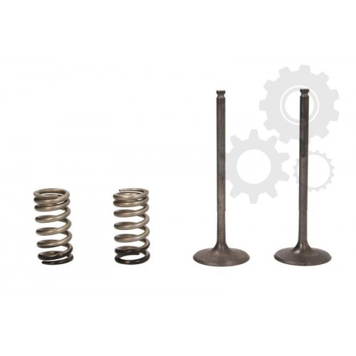 Supape/pastile reglaj Supape/pastile reglaj