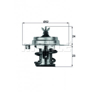 Termostat racire