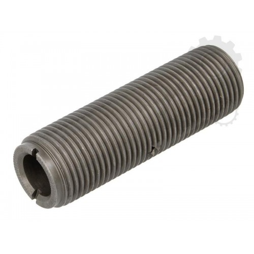 Leaf spring fixing bolt