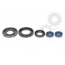 Set garnituri motor