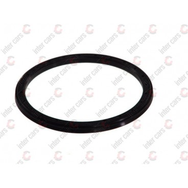 Garnitura ax cardanic/etansare