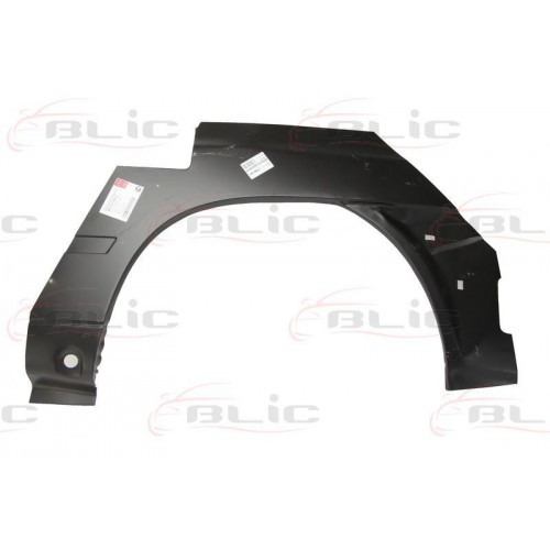 Aripa reparatie