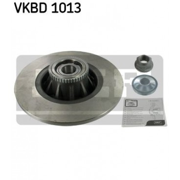 Brake disk with bearing