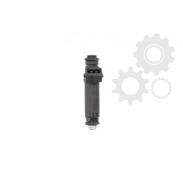 Injector combustibil