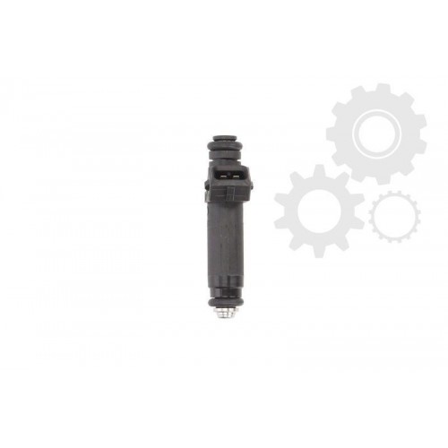 Injector combustibil
