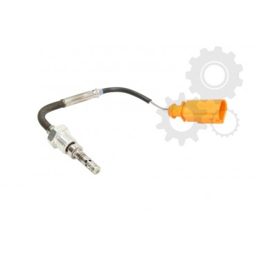 Senzor temperatura evacuare