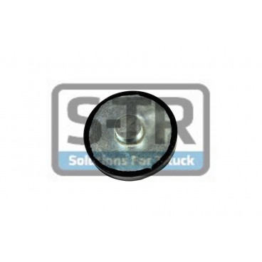 Leaf spring rubber cushion