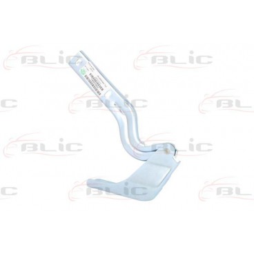 Elemente capota motor