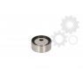 Intinzator curea distributie