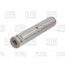 Leaf spring bolt