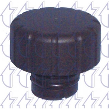 Capac vas expansiune