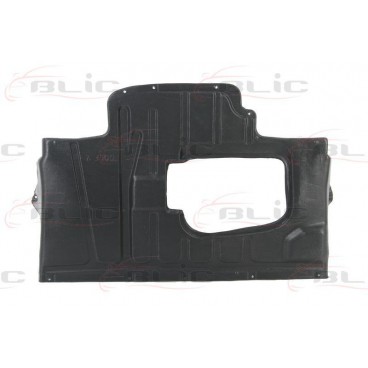 Scut motor/cutie viteze