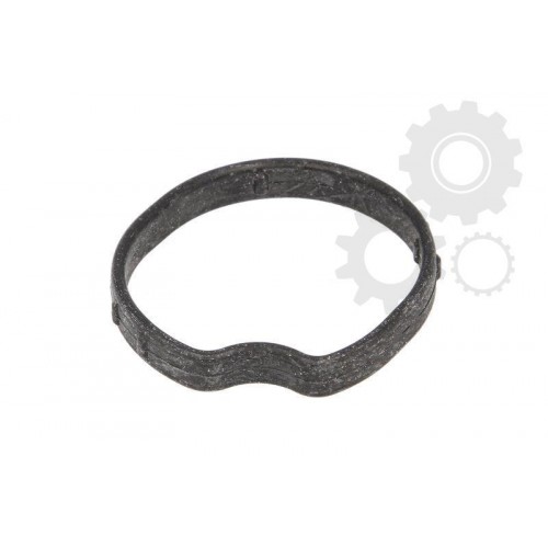 Garnitura capac termostat