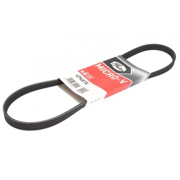 Curea transmisie canelata