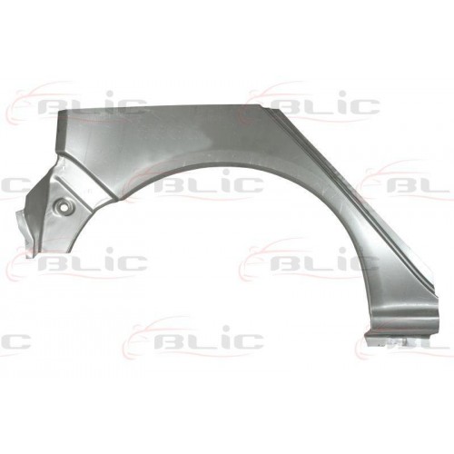Aripa reparatie