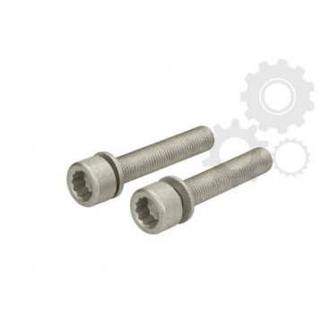 Surub fixare disc frana