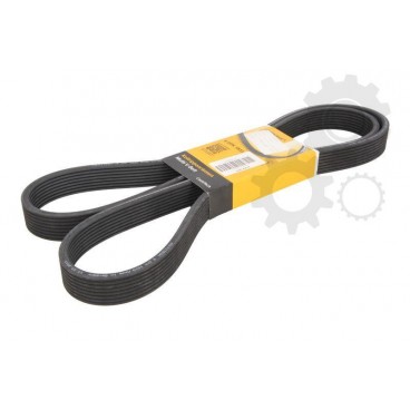 Curea transmisie canelata