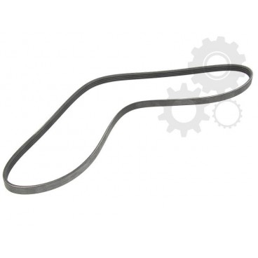Curea transmisie canelata