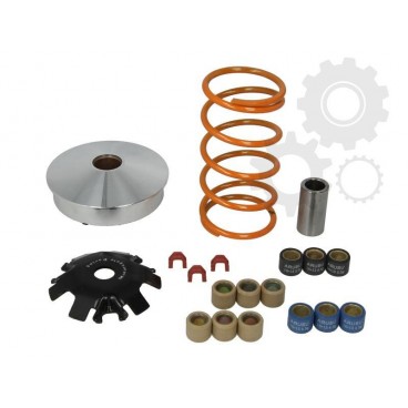 Variator