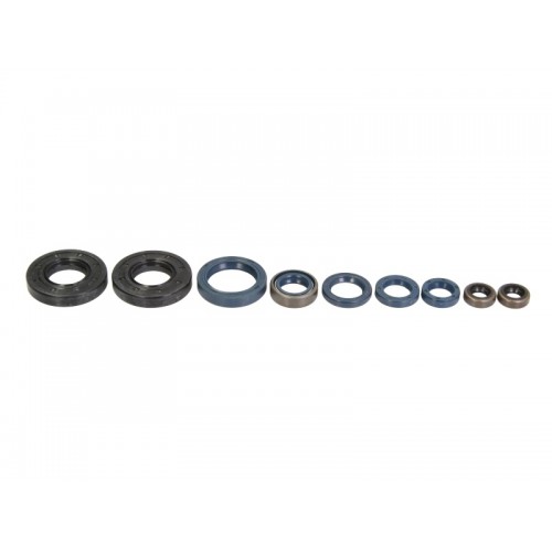 Set garnituri motor