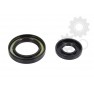 Crankshaft oil seals