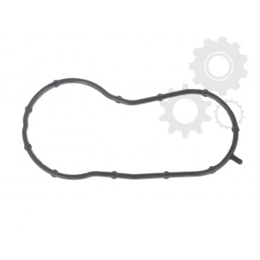 Garnitura capac termostat