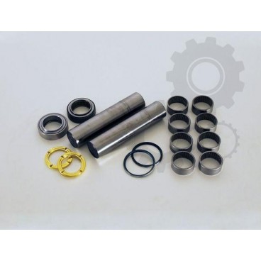 Kit reparatie pivot