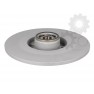 Brake disk with bearing