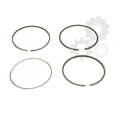 Segmenti piston