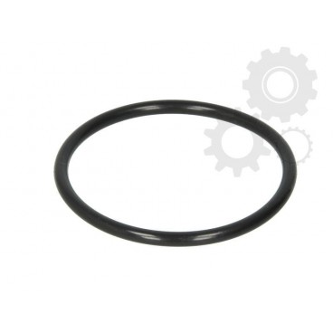 Garnitura diferential