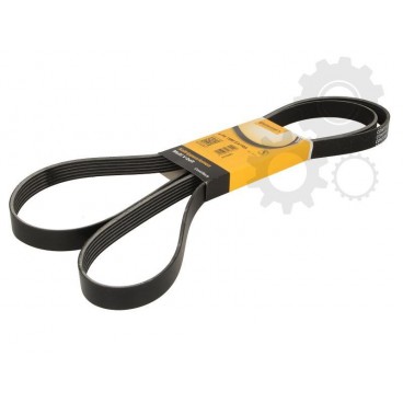 Curea transmisie canelata