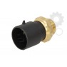 Termocupla ventilator radiator racire