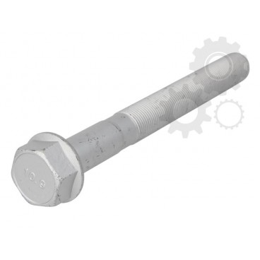 Leaf spring fixing bolt