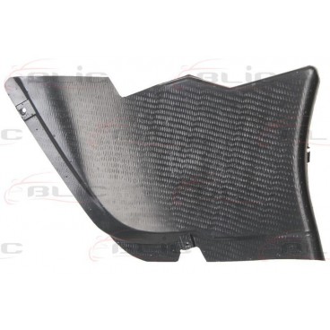 Scut motor/cutie viteze