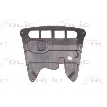 Scut motor/cutie viteze