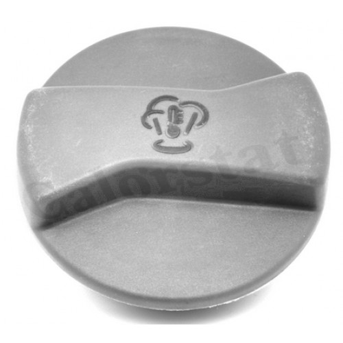 Capac vas expansiune