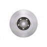 Brake disk with bearing