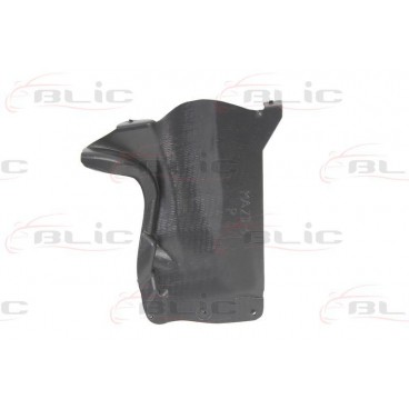 Scut motor/cutie viteze