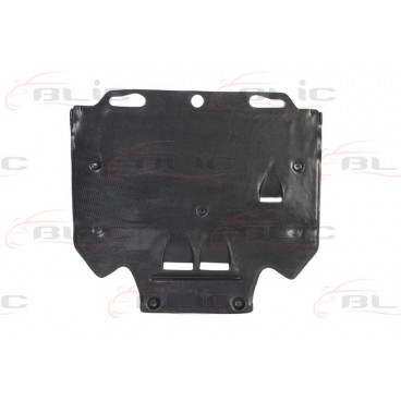 Scut motor/cutie viteze