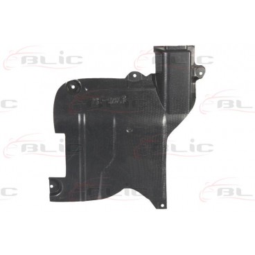 Scut motor/cutie viteze